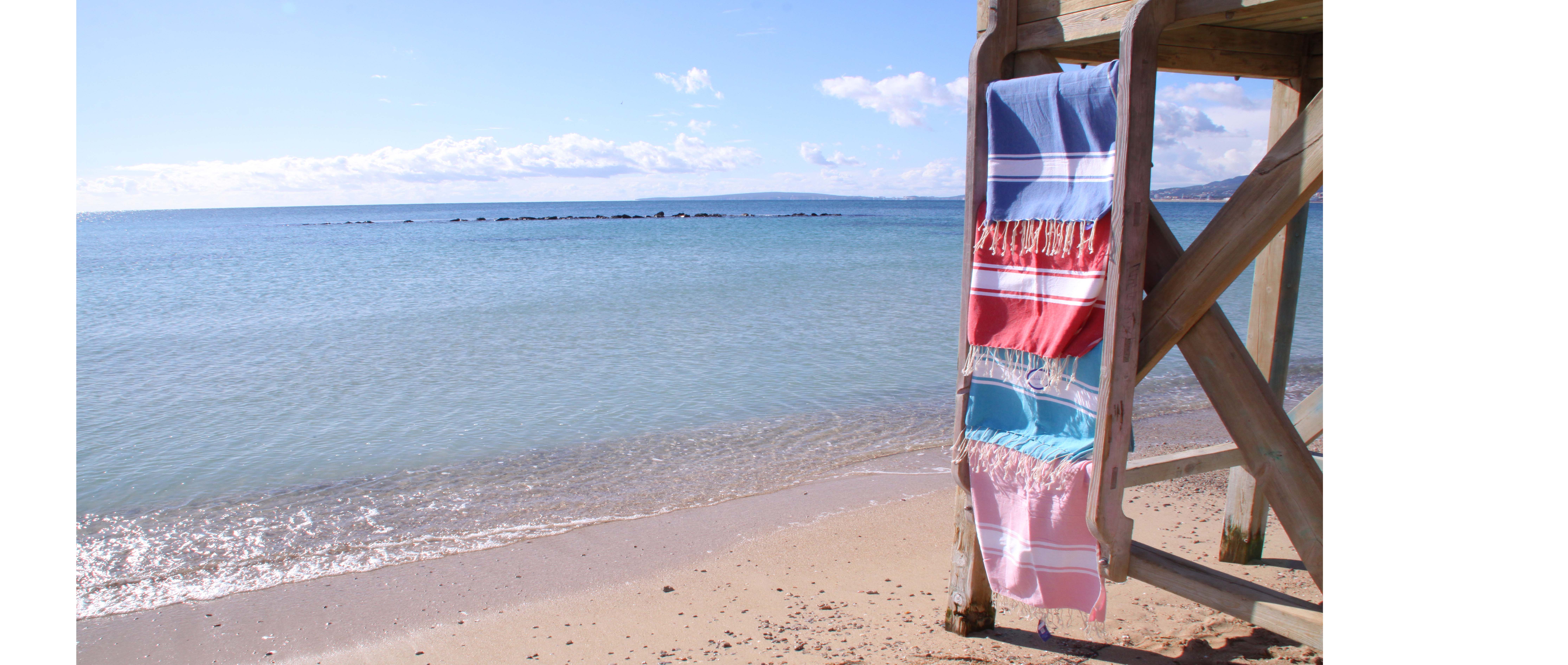 header modelo recortada paginas interiores